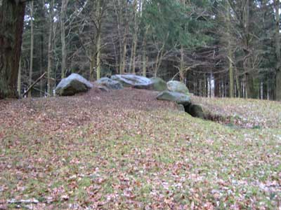 Flintinge Byskov. Foto: Søren Nielsen