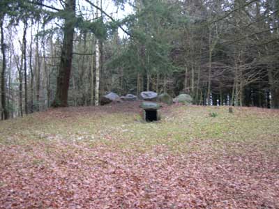 Flintinge Byskov. Foto: Søren Nielsen