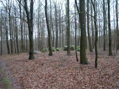 Flintinge Byskov. Foto: Søren Nielsen