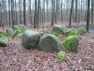 Flintinge Byskov. Foto: Søren Nielsen