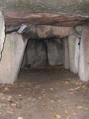 Flintinge Byskov. Foto: Søren Nielsen