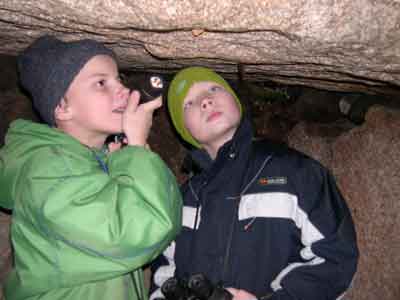 Flintinge Byskov. Foto: Søren Nielsen