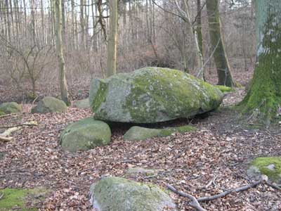 Langdysse i Frejlev Skov. Foto: Søren Nielsen