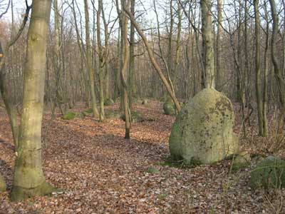 Bautasten ved langdysse. Foto: Søren Nielsen