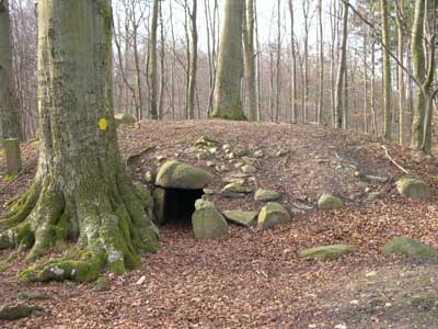 Jættestue i Frejlevskoven. Foto: Søren Nielsen