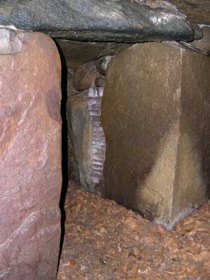 Jættestue i Frejlevskoven. Foto: Søren Nielsen