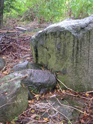 Endesten med huller. Foto: Søren Nielsen